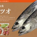 南三陸 秋の旬魚 カツオ