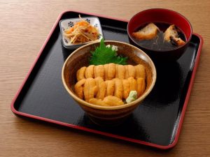 今週のイチ丼！ミシュランガイド宮城掲載店『弁慶鮨』のキラキラうに丼！