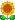 f_sunflower