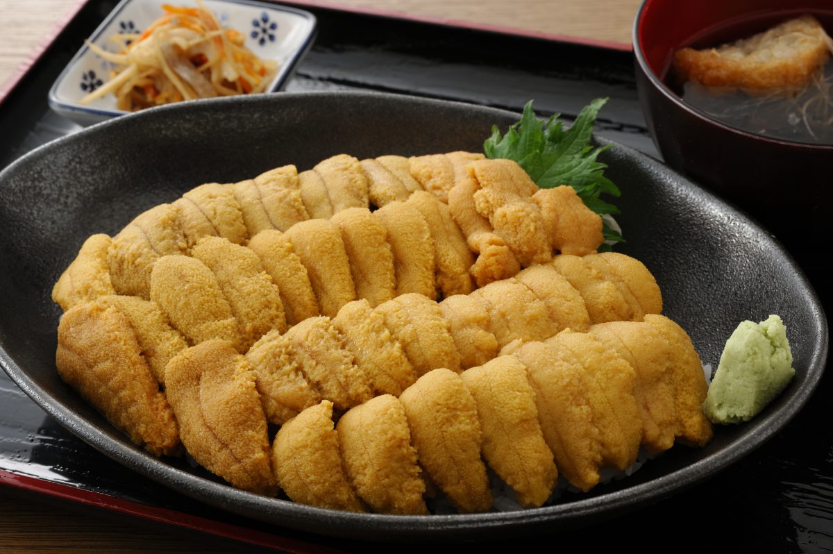 今週のイチ丼！番外編！「弁慶鮨」のメガうに丼！