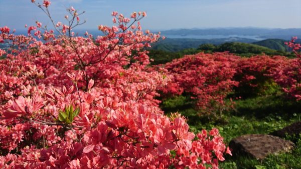 田束山