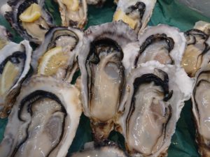 今年初入荷！宮城県の新名産『あまころ牡蠣』販売開始！