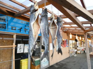 魚屋の営業について大事なお知らせ！5月13日(水)は魚屋が全てお休みです！