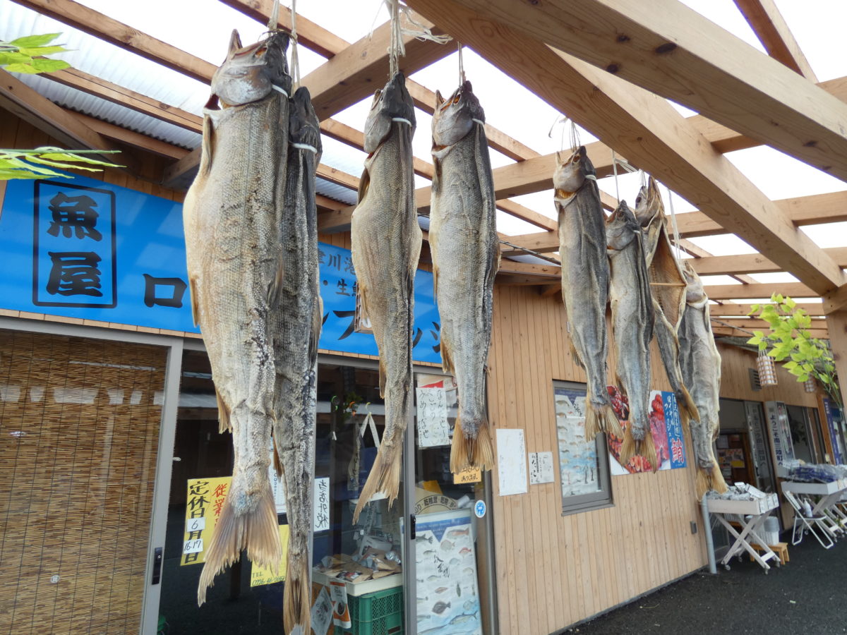 魚屋の営業について大事なお知らせ！7月29日(水)は魚屋が全てお休みです！