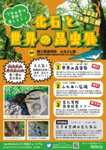 さんさん商店街から車で15分！夏休みに楽しめる『化石と世界の昆虫展』開催中！