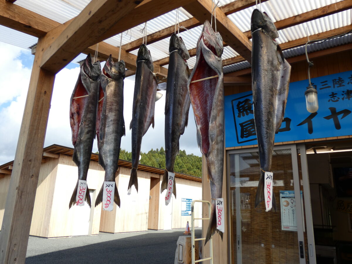 【※重要】来週の魚屋の営業についてお知らせ！