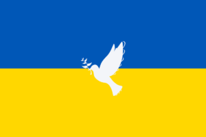 【ウクライナ支援募金】寄付先について！