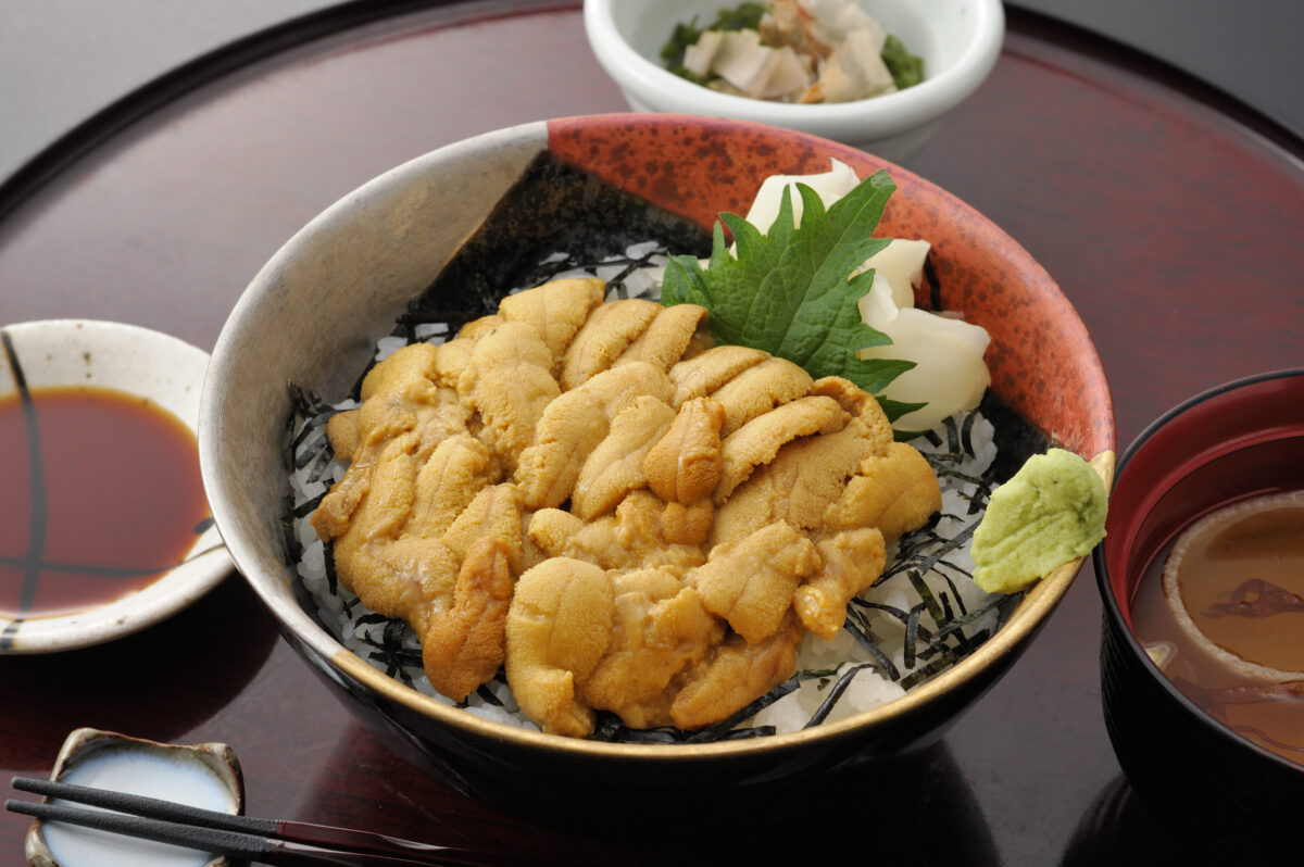 今週のイチ丼！トッカグンの聖地『かいせんどころ梁』の”キラキラうに丼”！