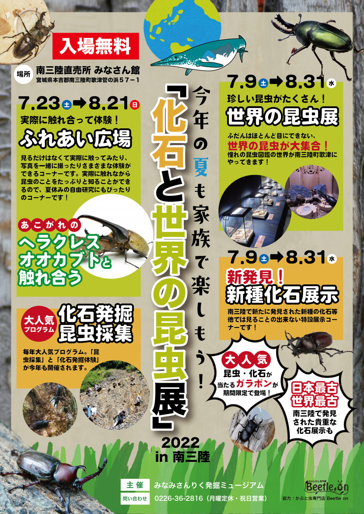 さんさん商店街から車で15分！家族で楽しめる『化石と世界の昆虫展』開催中！