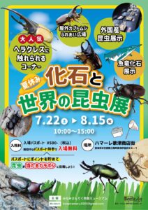 さんさん商店街から車で15分！『化石と世界の昆虫展』！今年の夏も家族で楽しもう！