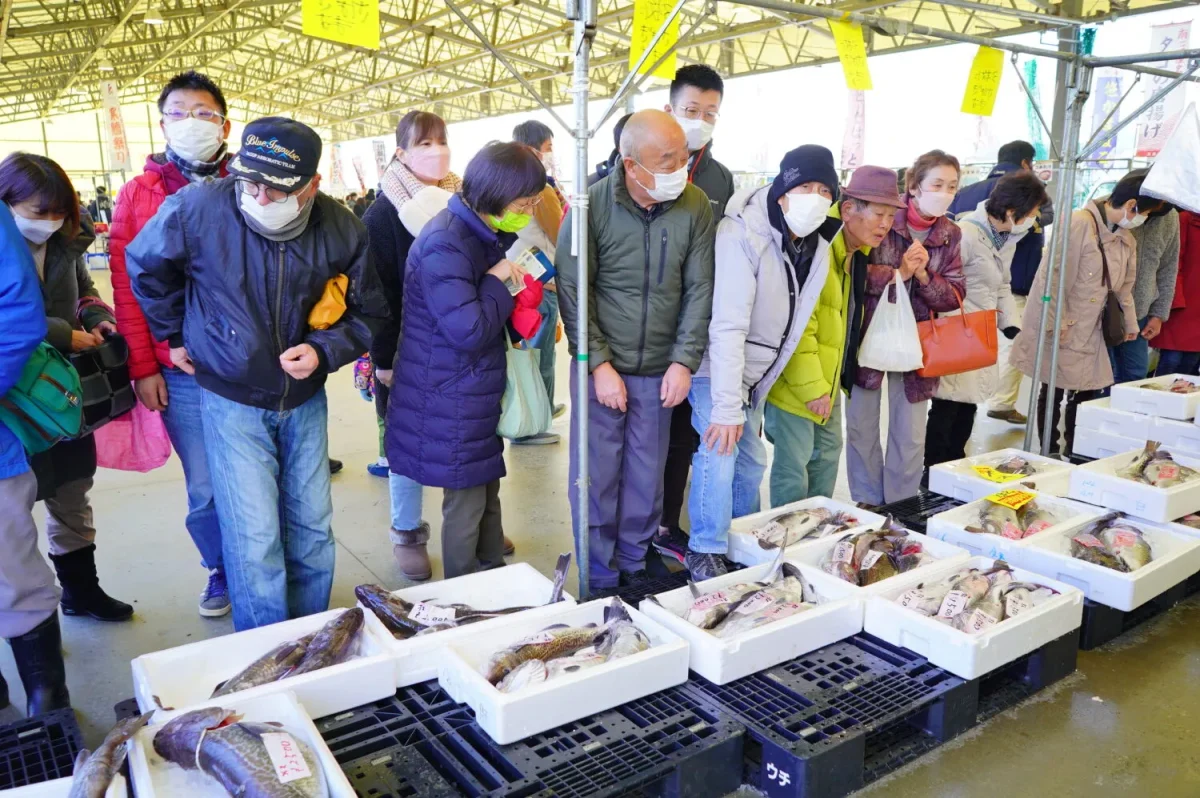 いよいよ明日！1月21日(日)【第3回ラムサール志津川湾 寒鱈祭り】開催！