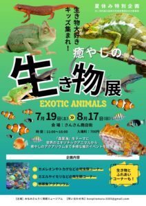 さんさん商店街にて本日から開催の『癒しの生き物展』をご紹介します！