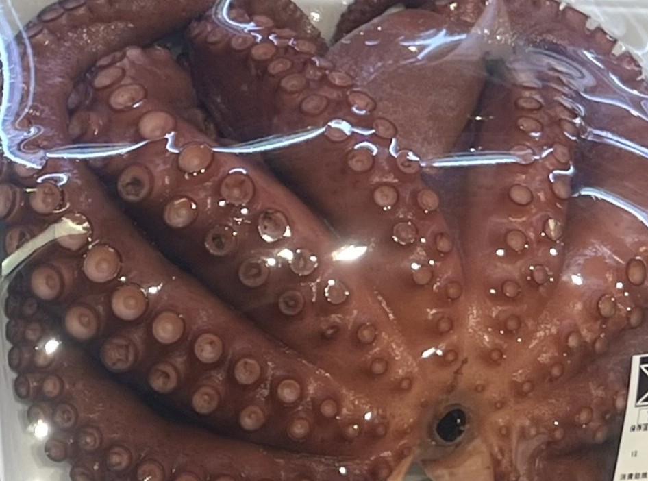 【志津川湾でマダコ漁解禁!】南三陸さんさん商店街でマダコが買える鮮魚店3店をご紹介いたします!