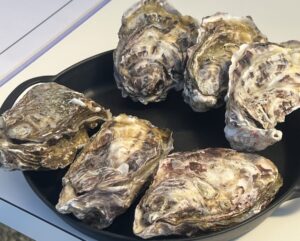 【Geoyst】外部出店レポート