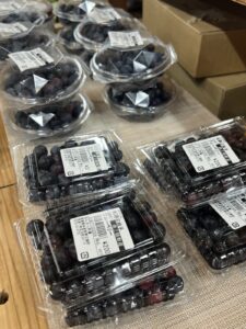 【期間限定】さんさん商店街3店舗の『ブルーベリー商品』をご紹介します♪
